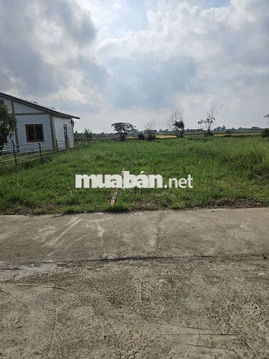 Đất full thư cư view sông tiện xây nhà vườn biệt thự mini