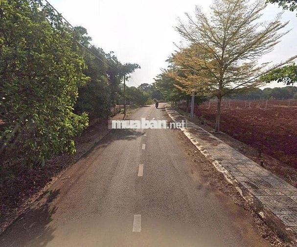 Bán 277m2 (5x55m) thổ cư,đường nhựa phường Hắc Dịch,TP.Phú Mỹ