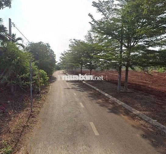 Bán 277m2 (5x55m) thổ cư,đường nhựa phường Hắc Dịch,TP.Phú Mỹ