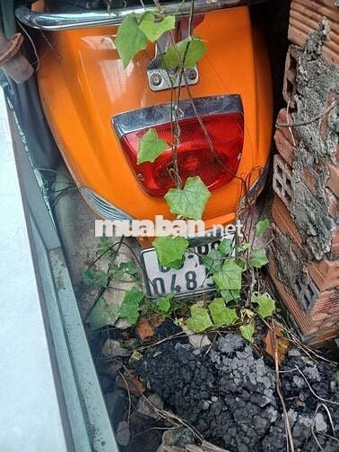 Vespa sản xuất 2011 Fi