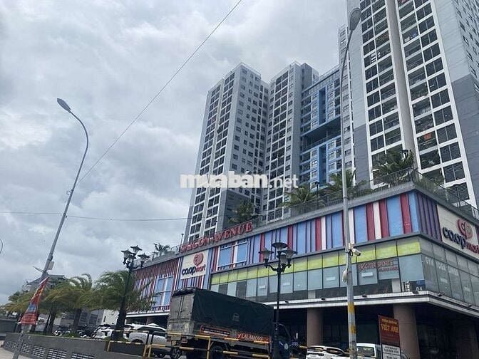 🔥DT71 CĂN HỘ CHUNGCƯ AVENUE GIÁP TÔ NGỌC VÂN, TAM BÌNH, THỦ ĐỨC, 70M²