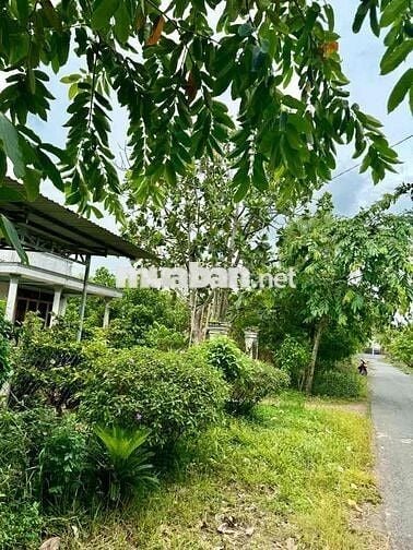 CỦ CHI - GỐC RƯNG - ĐƯỜNG 10M - 320M2 - CÓ THỂ LÊN THỔ CƯ - HƠN 1TỶ
