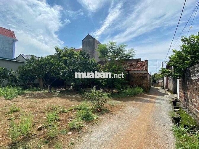 🛎🛎🛎 Chỉ với 1.x tỷ có ngay 175m tại Trần Phú, Chương Mỹ   👉 mặt tiền 9