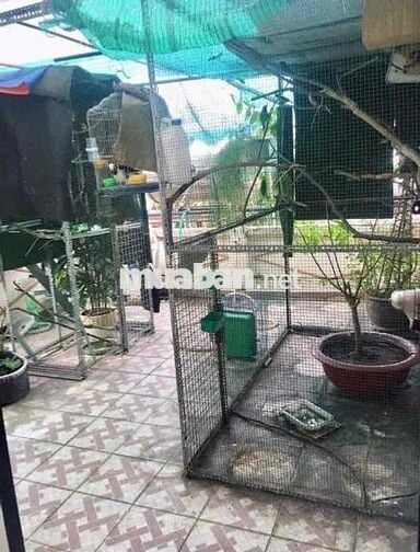 NHÀ 3 TẦNG HXH, BTCT KIÊN CỐ, DT 78m2, Phường 11, Gò Vấp Giá tốt
