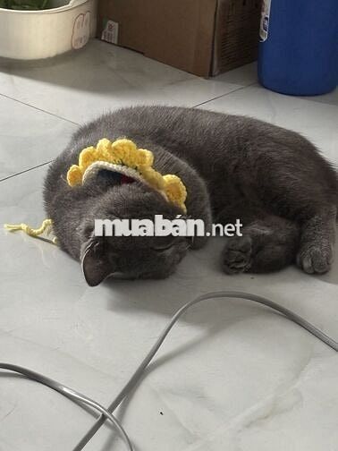 Cần tìm bạn nữ share phòng quận 7 đường Lâm Văn Bền