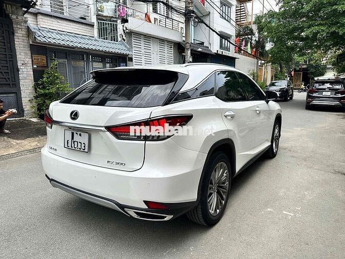 Lexus RX 2022 300 - 29000 km
