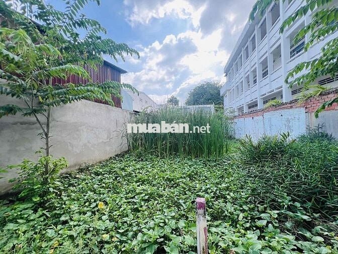 đẤt p5 khu dân cư đông giá chua đến 12tr/m2 full thổ xd hết đất
