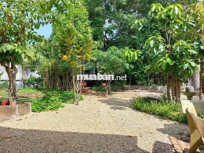 (703M2) ĐẤT ĐẸP,VIEW KENH, ĐƯỜNG HÀ HY GIÁP, THẠNH XUÂN. VND13.4 TỶ TL