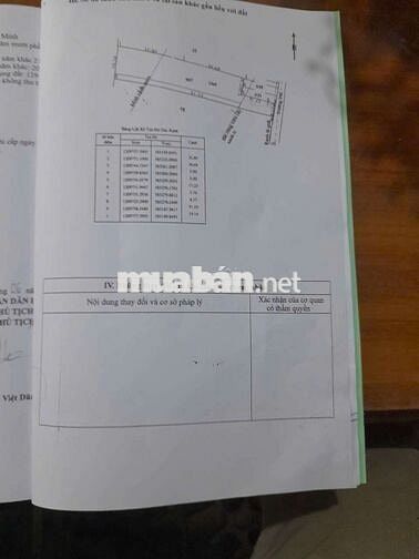 Đất hẻm 84, Đường Số 92 ấp bến đò, Củ Chi