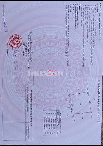 Bán đất vườn 500m² Nhuận Đức Củ Chi – sổ đỏ sang tên ngay- đường oto