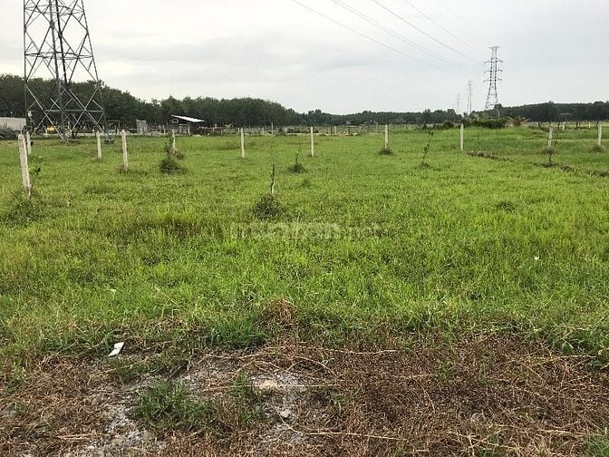 Bán đất vườn 500m² Nhuận Đức Củ Chi – sổ đỏ sang tên ngay- đường oto