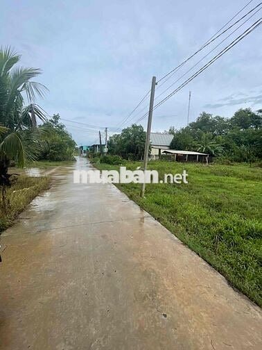 Bán đất Thanh Phước Gò Dầu 5x25m, có thổ cư, giá rẻ 390 triệu