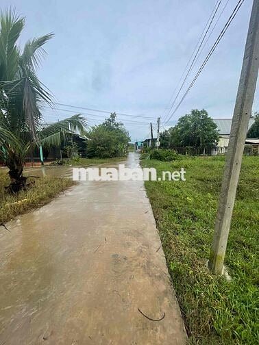 Bán đất Thanh Phước Gò Dầu 5x25m, có thổ cư, giá rẻ 390 triệu