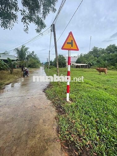 Bán đất Thanh Phước Gò Dầu 5x25m, có thổ cư, giá rẻ 390 triệu