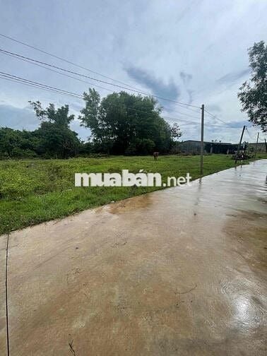 Bán đất Thanh Phước Gò Dầu 5x25m, có thổ cư, giá rẻ 390 triệu