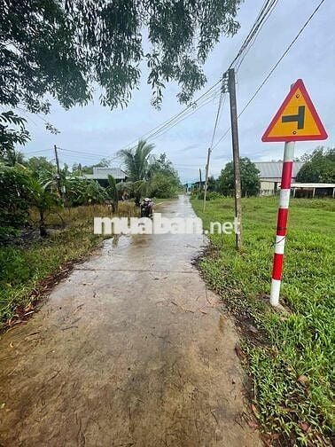 Bán đất Thanh Phước Gò Dầu 5x25m, có thổ cư, giá rẻ 390 triệu
