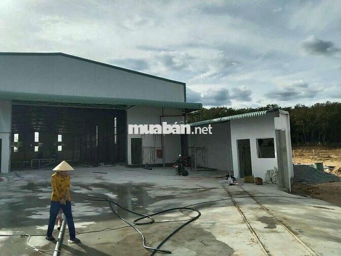 Xưởng bán 2.134m², có nguồn thu 80 triệu/tháng giá 18,9 tỷ.