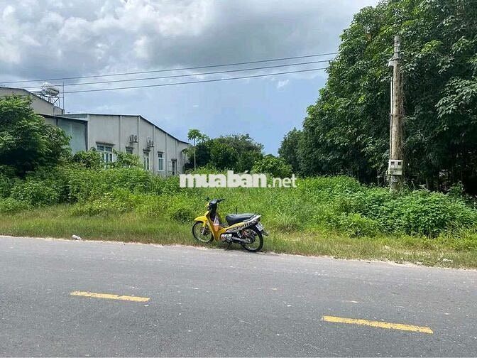 Sở hữu ngay lô đất ở Đ. NA7, P. Thới Hoà, Bến Cát giá chỉ 720 triệu.