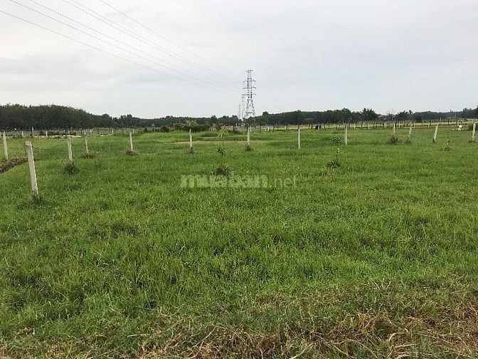 Bán đất vườn 500m² Nhuận Đức Củ Chi – sổ đỏ sang tên ngay- đường oto