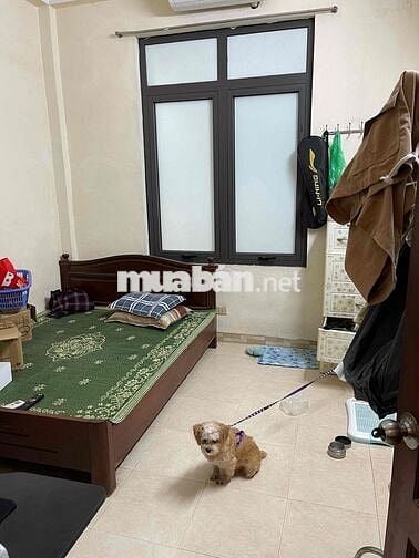 Nhà mặt tiền 50m2 , ô tô đỗ cửa phố Vân Hồ 3 , sổ đỏ chính chủ