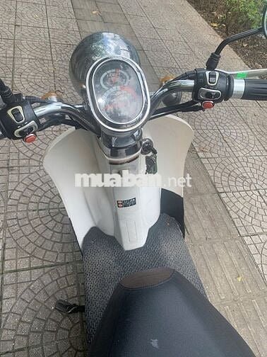 xe tay ga 50cc biển Hà Nội xanh lá mới 60%