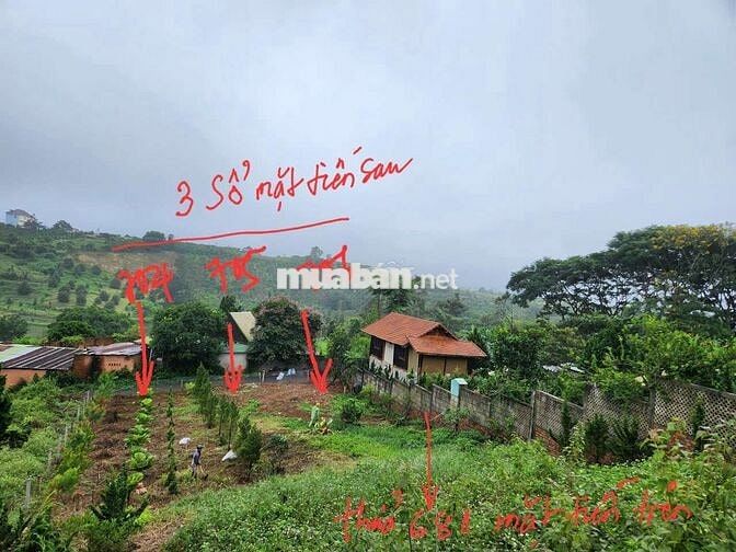 ĐẦU TƯ HIẾM CÓ CHÍNH CHỦ BÁN MẶT TIỀN NGUYỄN TRÃI, PHUỜNG 2 TT BẢO LỘC