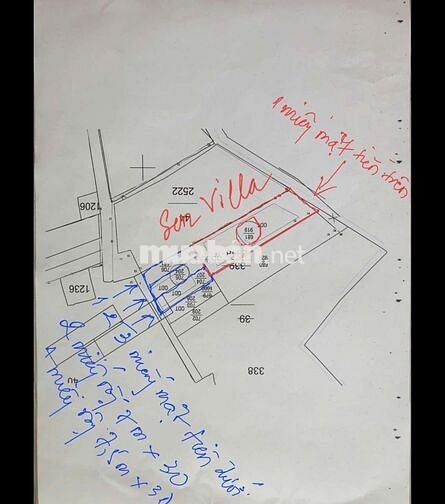 ĐẦU TƯ HIẾM CÓ CHÍNH CHỦ BÁN MẶT TIỀN NGUYỄN TRÃI, PHUỜNG 2 TT BẢO LỘC