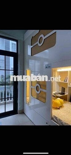 KTX Cao Cấp Biz Box – Giá Rẻ Bất Ngờ tại Thủ Đức