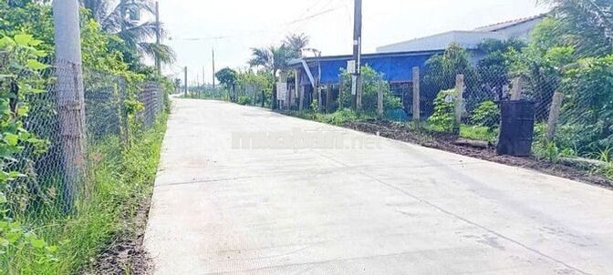 Đất thổ+lúa dt 1035m giá 1ty599 mặt tiền Nguyễn Văn Vịnh tân trụ L.A