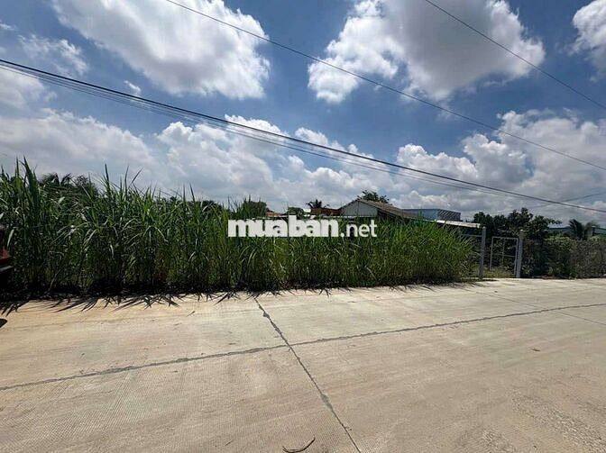 Đất thổ+lúa dt 1035m giá 1ty599 mặt tiền Nguyễn Văn Vịnh tân trụ L.A