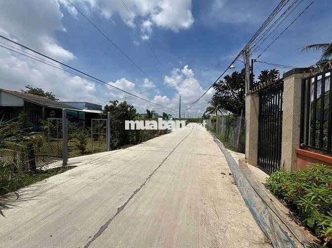 Đất thổ+lúa dt 1035m giá 1ty599 mặt tiền Nguyễn Văn Vịnh tân trụ L.A