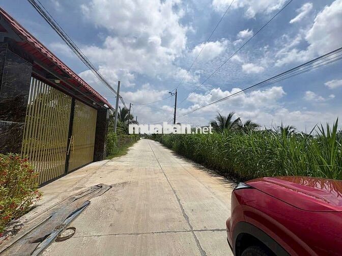Đất thổ+lúa dt 1035m giá 1ty599 mặt tiền Nguyễn Văn Vịnh tân trụ L.A