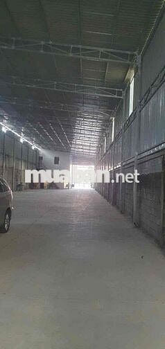 Cho thuê xưởng 900m² Thuận An – Đường xe cont 24/7, giá 50tr/tháng