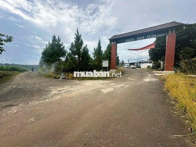Ngân hàng phát mãi 2 lô đất đẹp 1061m2 có 450m2 thổ cư