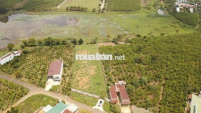 Bán đất biệt thự nghỉ dưỡng view hồ tại Lộc Phát, TP. Bảo Lộc