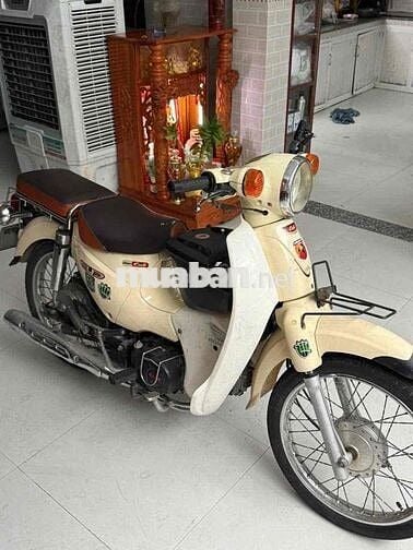 xe cub 50