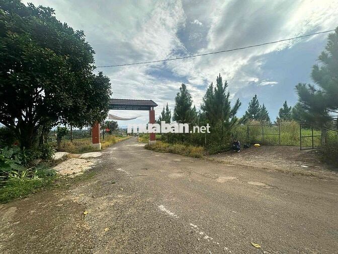 Ngân hàng phát mãi 2 lô đất đẹp 1061m2 có 450m2 thổ cư
