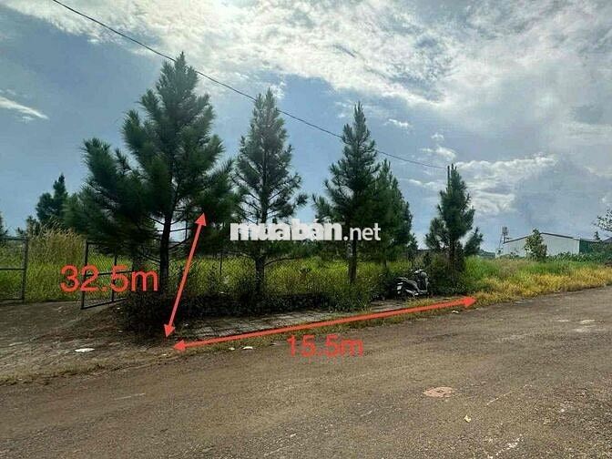 Ngân hàng phát mãi 2 lô đất đẹp 1061m2 có 450m2 thổ cư