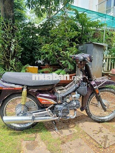 Ae hợp giá ib