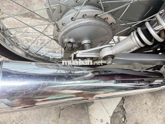 alpha 203 zin căng bstp cccd chủ