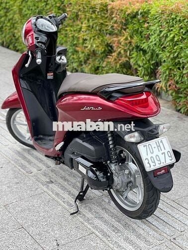SIÊU PHẨM janus 2020 biển 1 cặp thần tài lớn nhỏ