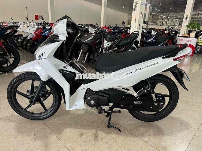 future 2025 odo:300km