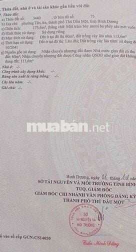 Đất Tân An ngay trường Trần Bình Trọng cách vài chục mét nhựa 6m. 5x35