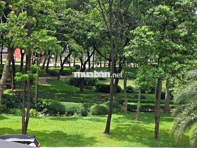 Cho thuê CH 2PN Diamond Celadon 86,8m², nhà mới 100%, giá 14.5tr