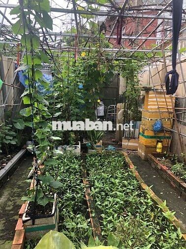 🏘️ Nhà Mặt Tiền mới, 2 phòng, Ấp Chánh 16, Tân Xuân 🏘️