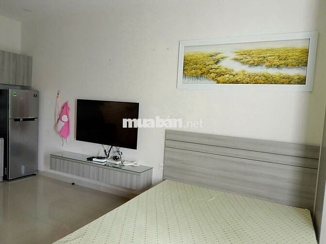 Cho thuê căn ở Sunrise City View 40m full nội thất