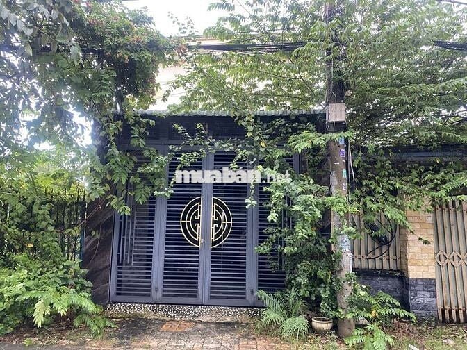 🏘️ Nhà Mặt Tiền mới, 2 phòng, Ấp Chánh 16, Tân Xuân 🏘️
