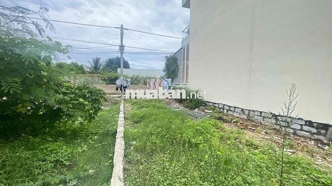 Bán Đất Hẻm Trần Sâm Phước Đồng Sổ Đỏ Riêng Xin Phép Cây Dựng