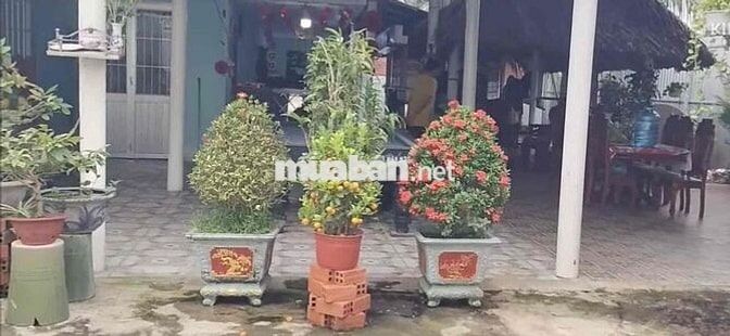 Bán nhà mặt tiền DT.877 ngay cụm công nghiệp Bình Ninh