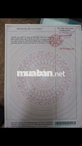 Chính chủ cần bán Tân Định, Bến Cát , BD. Nay P Hòa Lợi, HCM.